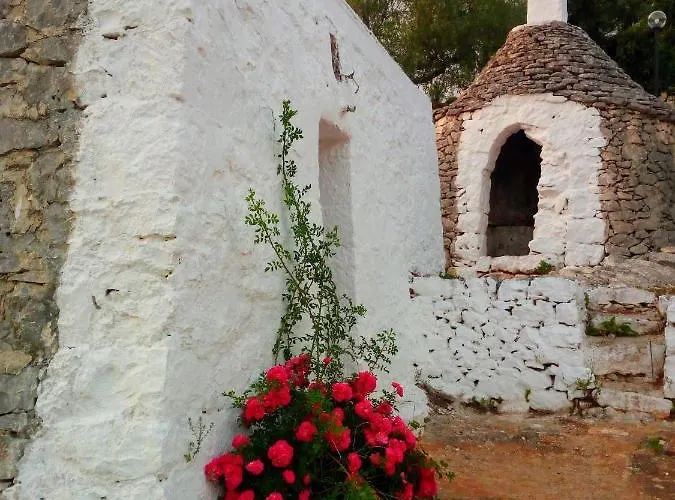 Anna 셀바디파사노